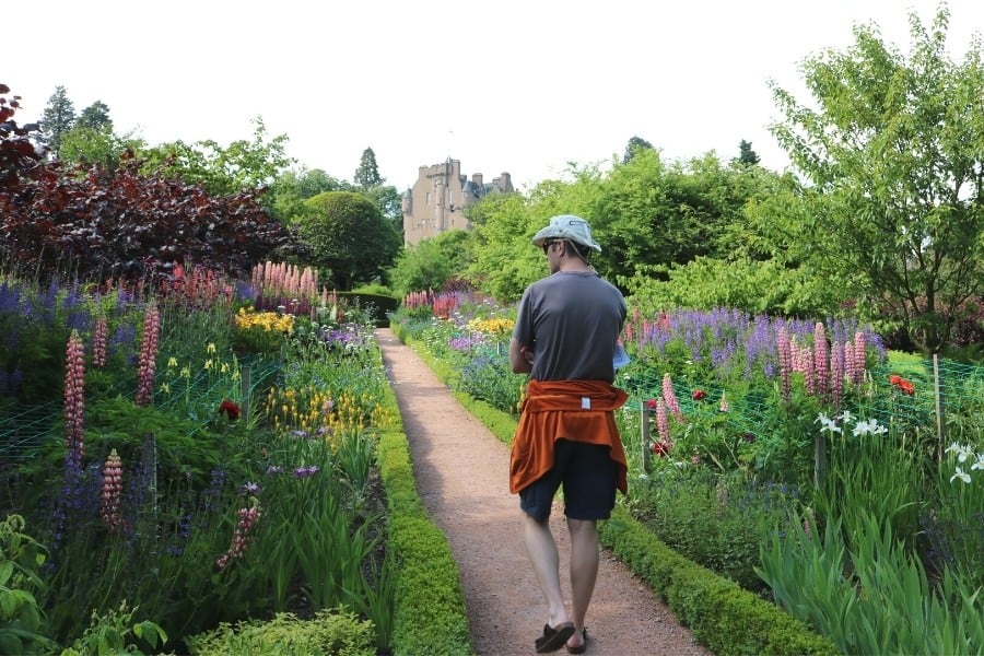 A man walks through a beautiful garden at Crathes Castle