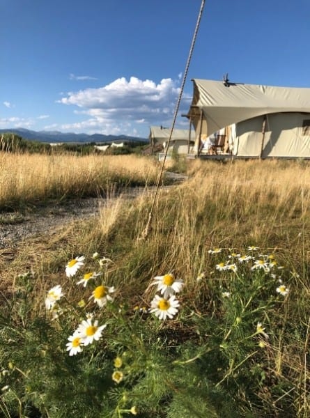 A glamping resort in West Yellowstone, Montanta