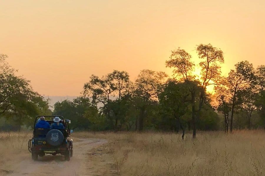sunrise from a safari jeep in India