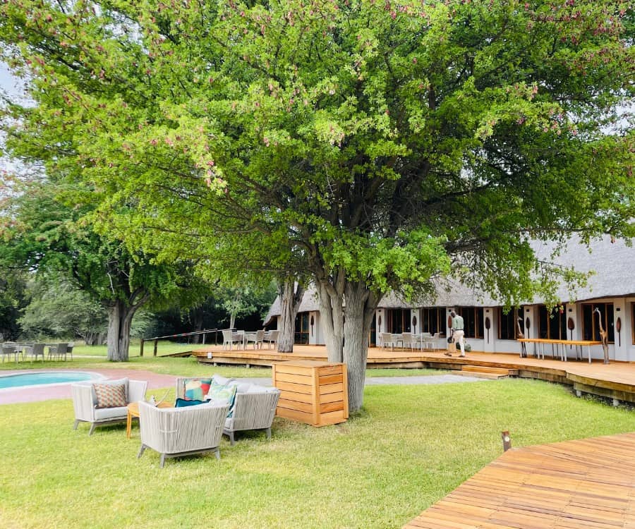 Leroo La Tau safari lodge in Botswana. The exterior of the lodge is shown with a wood walkway and a grassy area with lounge chairs and a pool and the pool beyond.