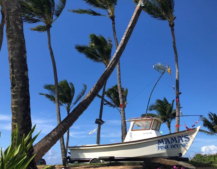 A boat sits under palm trees at Mama's Fish House in Maui