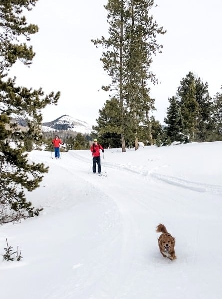 Two people nordic skiing with a dog at Steamboat Lake State Park