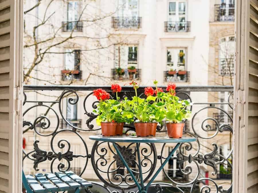 A Paris apartment with a balcony and flowers beyond