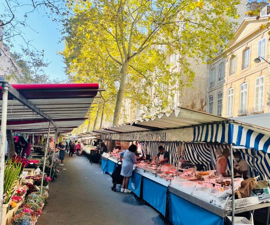 Raspail Farmer's Market in Paris