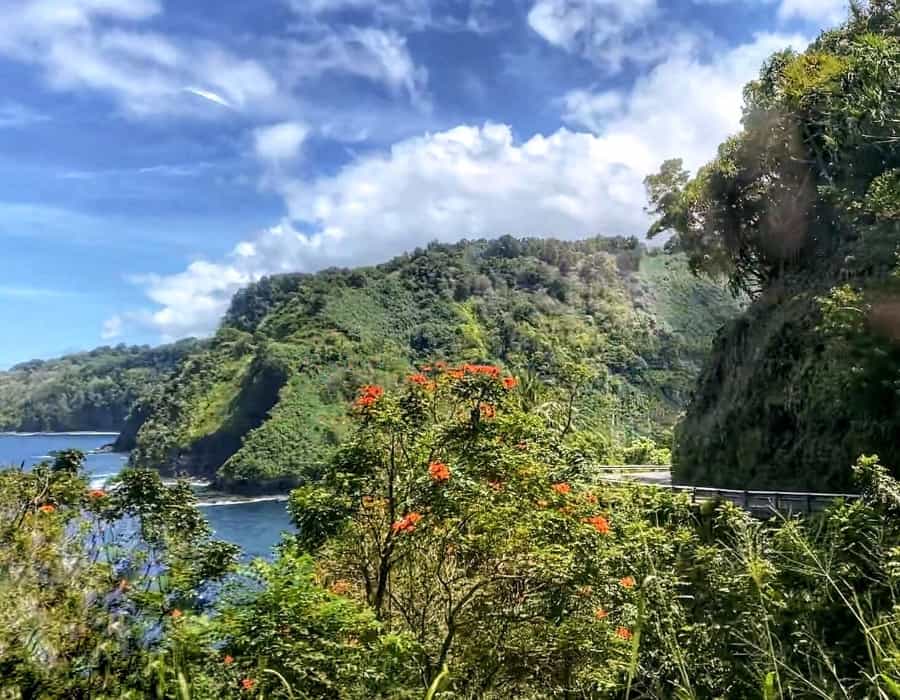 Scenery on the road to Hana on Maui