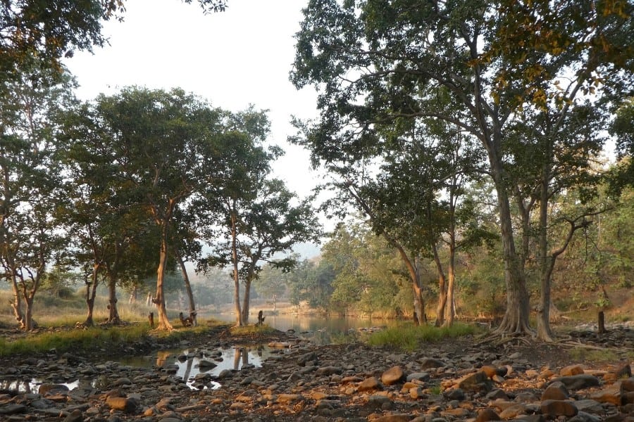 scenic panna national park