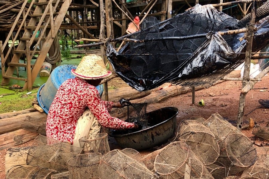 shrimp fisherman kampong phluk