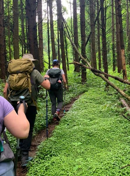 Two women walk along a trail through the woods on a slackpacking trip in Massachusetts.