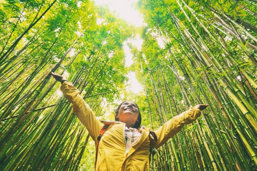 A woman spreads her arms in a bamboo forest