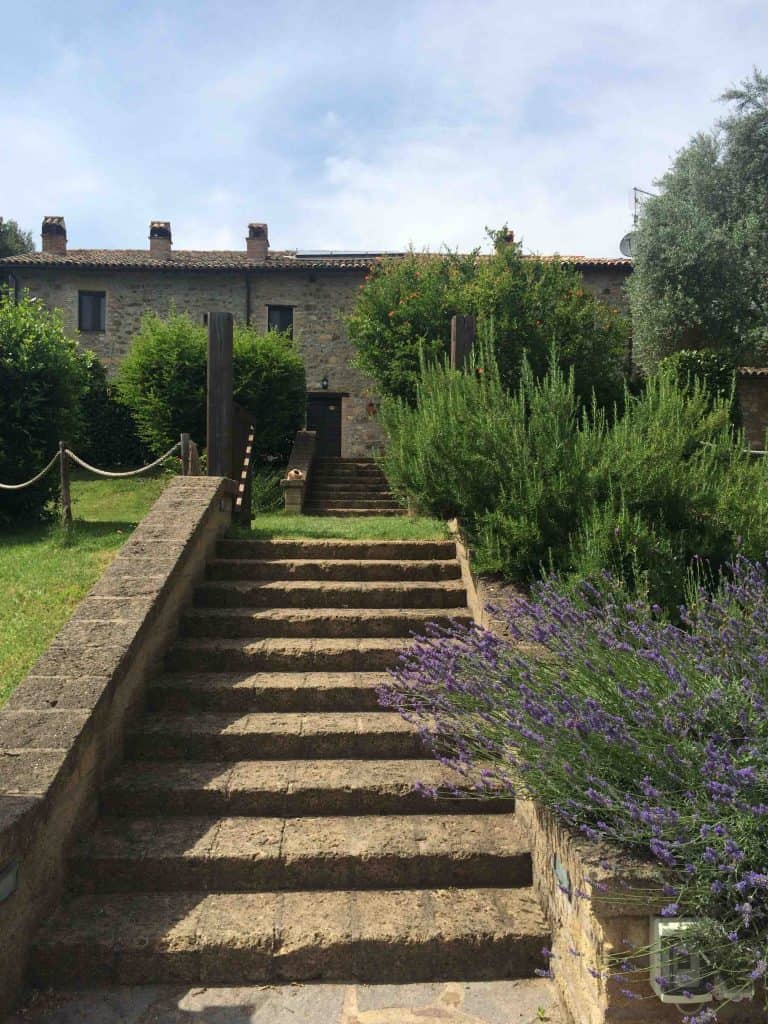 Stairs lead up to an old Italian villa with rosemary bushes beside.