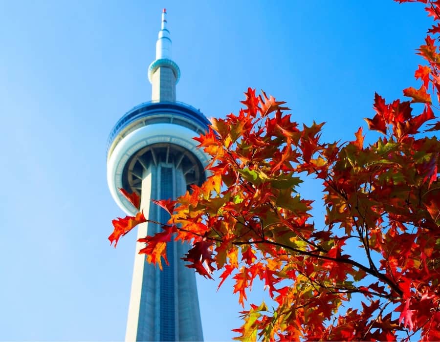 Toronto's CN Tower with red leaves in the foreground. Fall is an ideal time for a weekend in Toronto