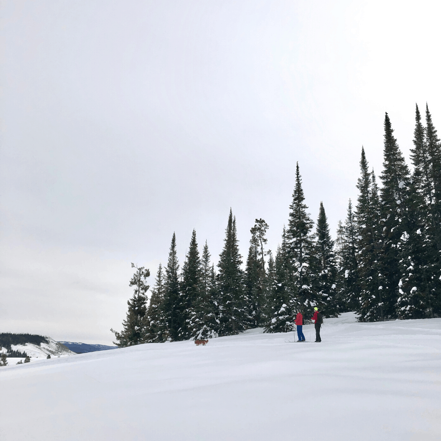 Nordic skiing at Steamboat Lake State Park